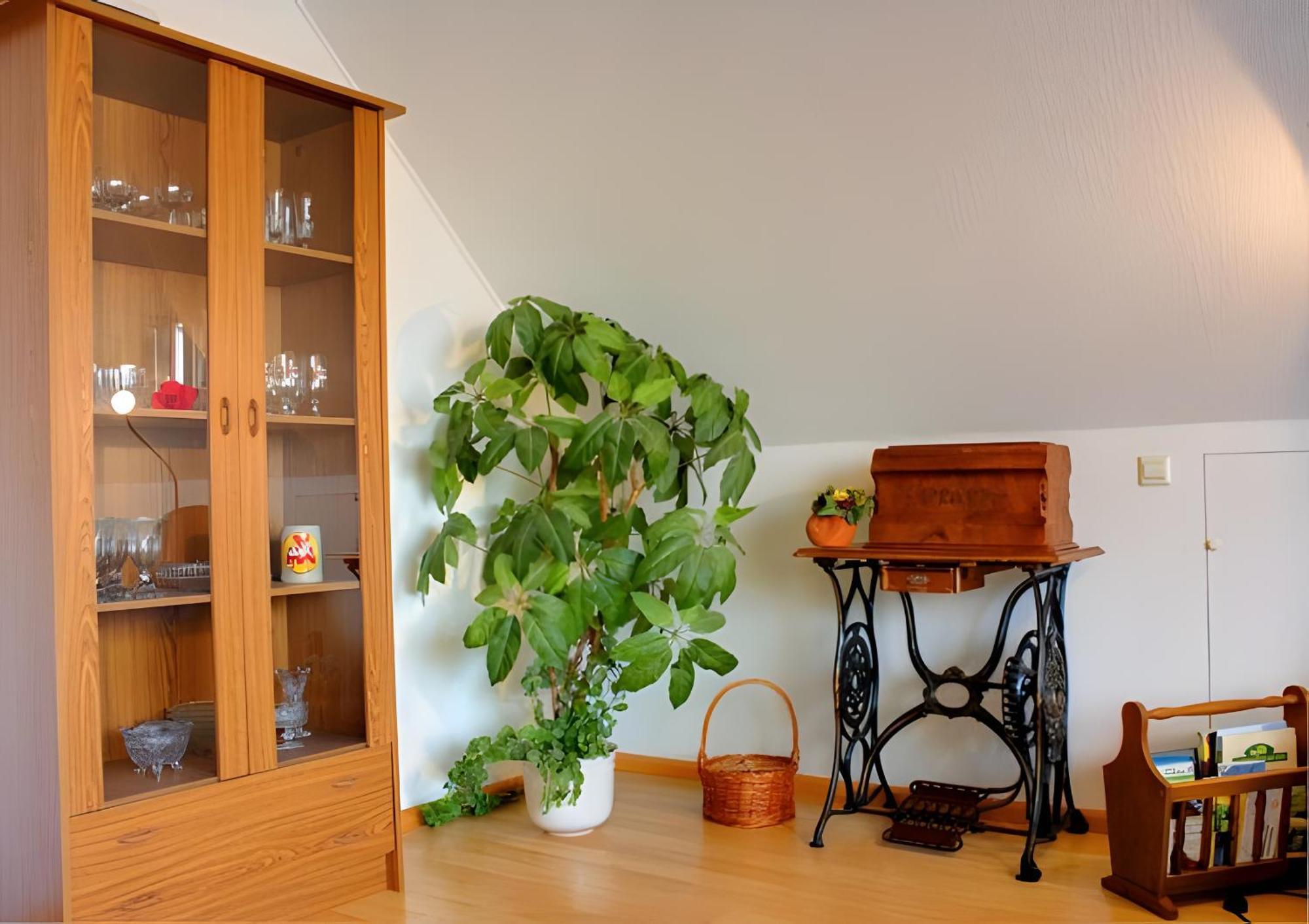 Haus Wehrle Apartment Breisach ภายนอก รูปภาพ