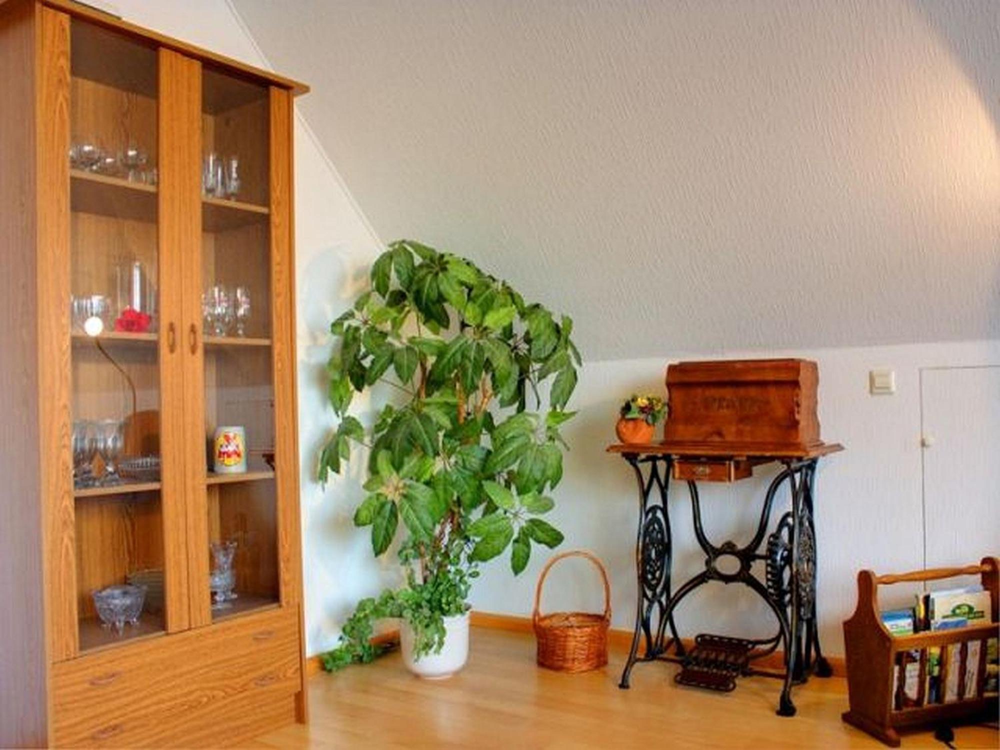 Haus Wehrle Apartment Breisach ภายนอก รูปภาพ